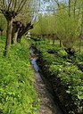 BUITEN BEELD Foto: 249417