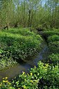 BUITEN BEELD Foto: 249419