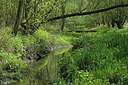 BUITEN BEELD Foto: 249438