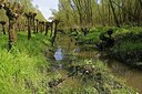 BUITEN BEELD Foto: 249441