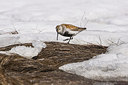 BUITEN BEELD Foto: 249452