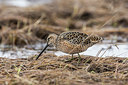 BUITEN BEELD Foto: 249469