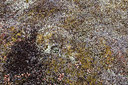 BUITEN BEELD Foto: 249525