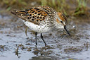 BUITEN BEELD Foto: 249529