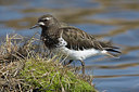 BUITEN BEELD Foto: 249538