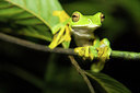BUITEN BEELD Foto: 249585