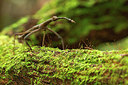 BUITEN BEELD Foto: 249596