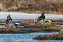 BUITEN BEELD Foto: 249599