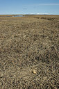 BUITEN BEELD Foto: 249651