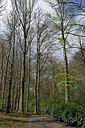 BUITEN BEELD Foto: 249674