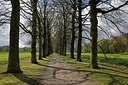 BUITEN BEELD Foto: 249677