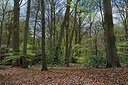 BUITEN BEELD Foto: 249683