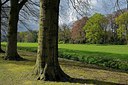 BUITEN BEELD Foto: 249686
