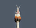 BUITEN BEELD Foto: 249729