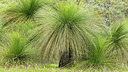 BUITEN BEELD Foto: 249752