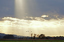 BUITEN BEELD Foto: 249789