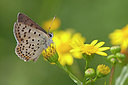 BUITEN BEELD Foto: 249808