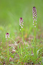 BUITEN BEELD Foto: 249809