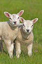 BUITEN BEELD Foto: 249810