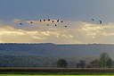 BUITEN BEELD Foto: 249828