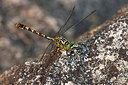BUITEN BEELD Foto: 249829