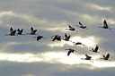 BUITEN BEELD Foto: 249838