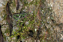 BUITEN BEELD Foto: 249843
