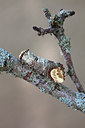 BUITEN BEELD Foto: 249854