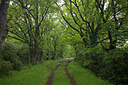 BUITEN BEELD Foto: 249860