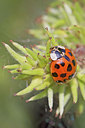 BUITEN BEELD Foto: 249863