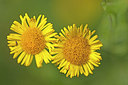 BUITEN BEELD Foto: 249906