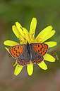 BUITEN BEELD Foto: 249919