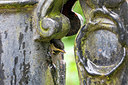 BUITEN BEELD Foto: 249924
