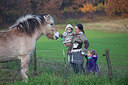 BUITEN BEELD Foto: 249948