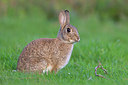 BUITEN BEELD Foto: 249973
