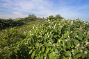 BUITEN BEELD Foto: 250010
