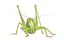 BUITEN BEELD Foto: 250016