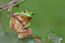 BUITEN BEELD Foto: 250051