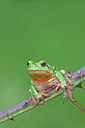 BUITEN BEELD Foto: 250125