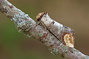 BUITEN BEELD Foto: 250129