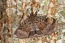 BUITEN BEELD Foto: 250154