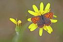 BUITEN BEELD Foto: 250172