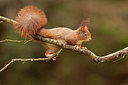 BUITEN BEELD Foto: 250198
