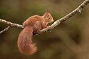 BUITEN BEELD Foto: 250200