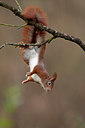 BUITEN BEELD Foto: 250201