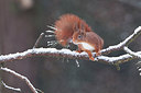 BUITEN BEELD Foto: 250203