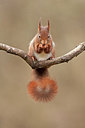 BUITEN BEELD Foto: 250204