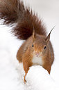 BUITEN BEELD Foto: 250207