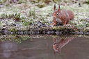 BUITEN BEELD Foto: 250216