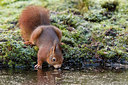 BUITEN BEELD Foto: 250217